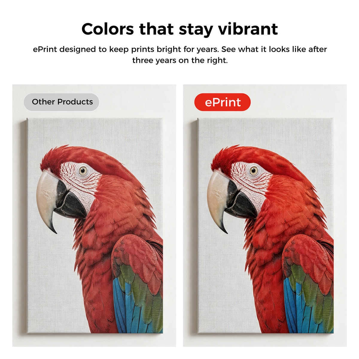 ePrint-color