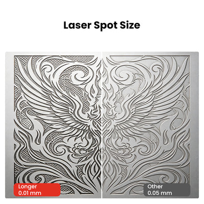 30W Laser Module for Longer Ray5