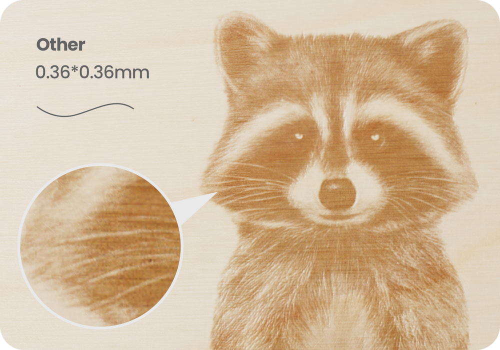 Longer Ray5 40W Laser Engraver
